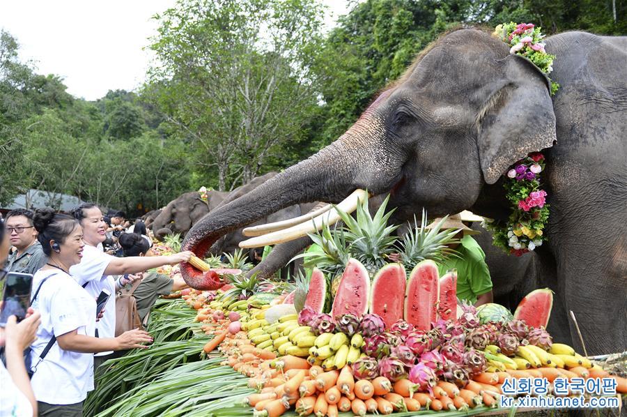 （社会）（1）云南西双版纳举办世界大象日活动