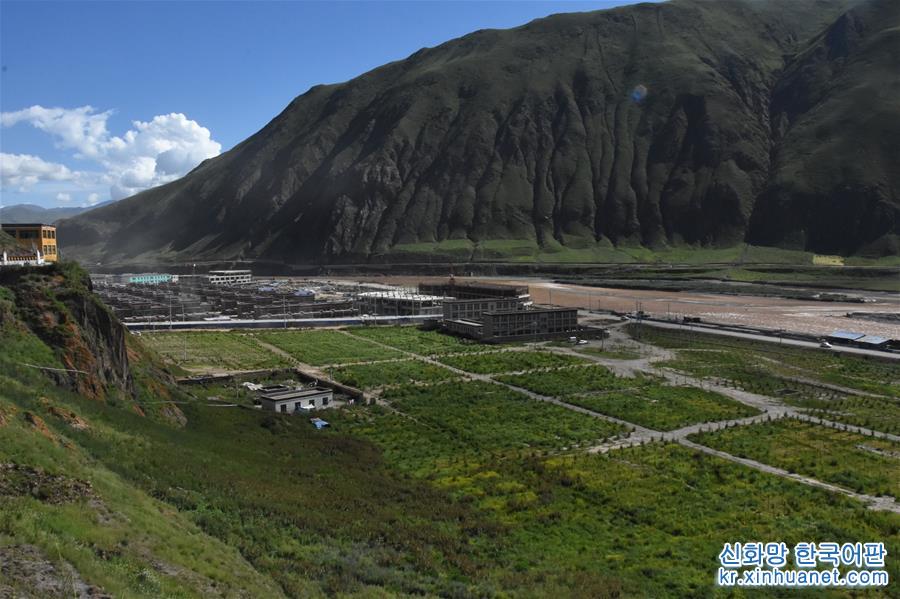 （图文互动）（2）“土味儿”索县：从下雨满泥浆到藏北绿化新城
