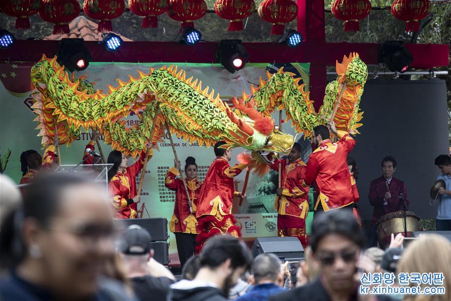 （国际）（2）巴西侨界庆祝首个“中国移民日”