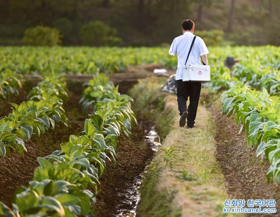 （健康）（13）中国医师节——致我们可爱的乡村医生