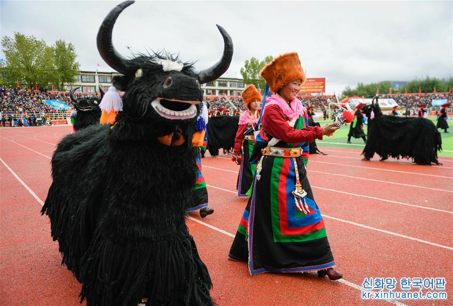 （文化）（4）西藏日喀则第十六届珠峰文化旅游节开幕