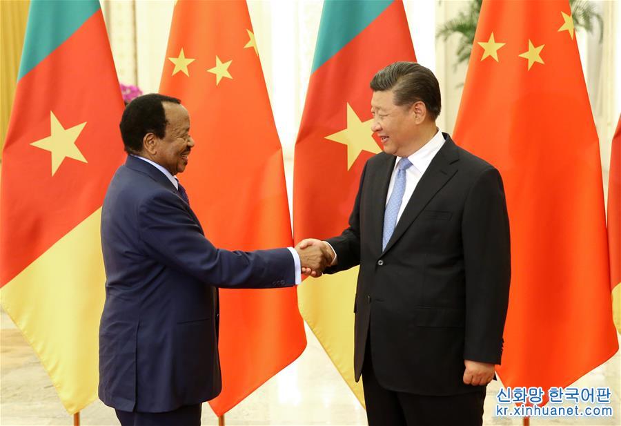 （中非合作论坛）习近平会见喀麦隆总统比亚