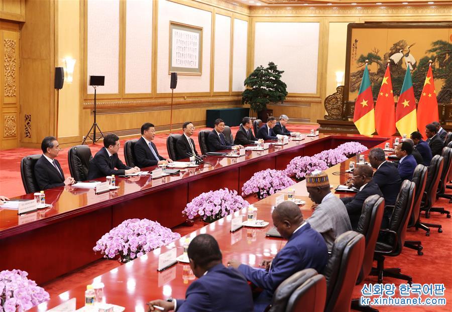 （中非合作论坛&middot;XHDW）习近平会见喀麦隆总统比亚