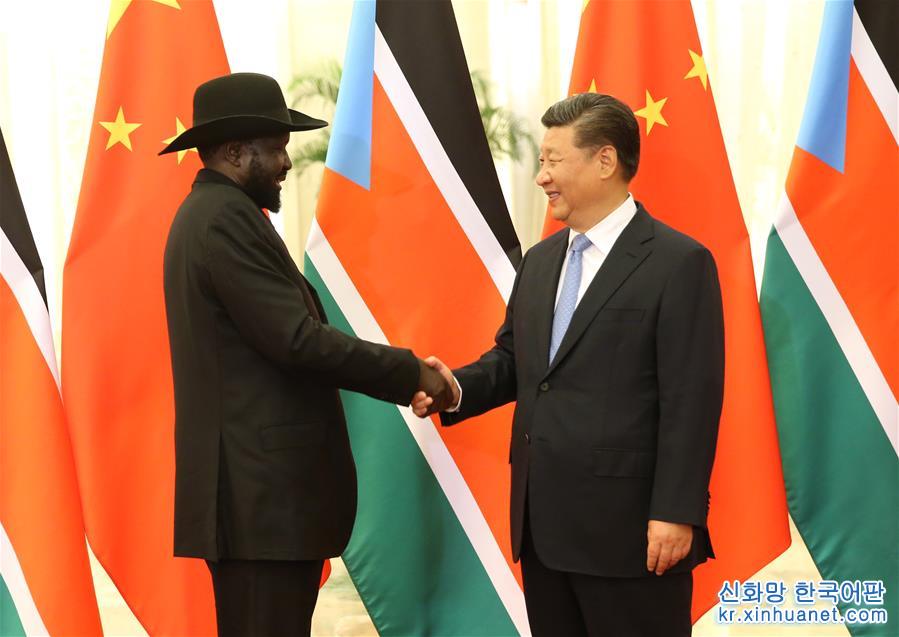 （中非合作论坛）习近平会见南苏丹总统基尔