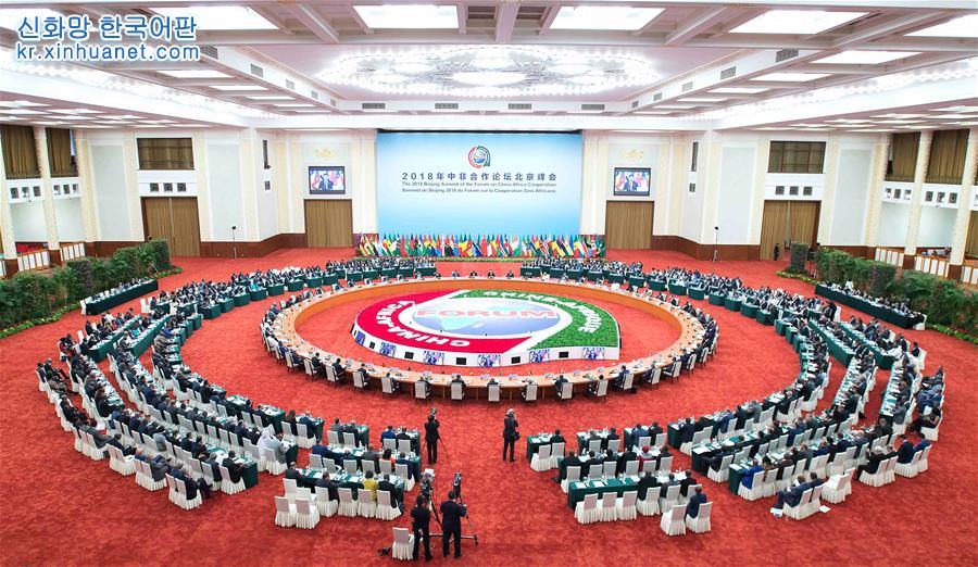 （中非合作論壇）（1）中非合作論壇北京峰會舉行圓桌會議