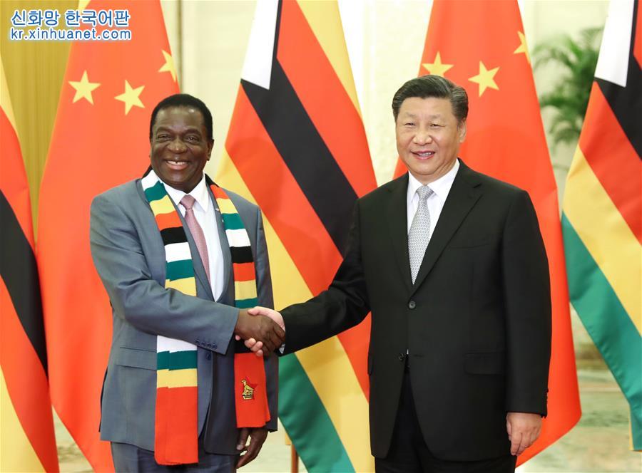 （中非合作論壇）習近平會見津巴布韋總統姆南加古瓦