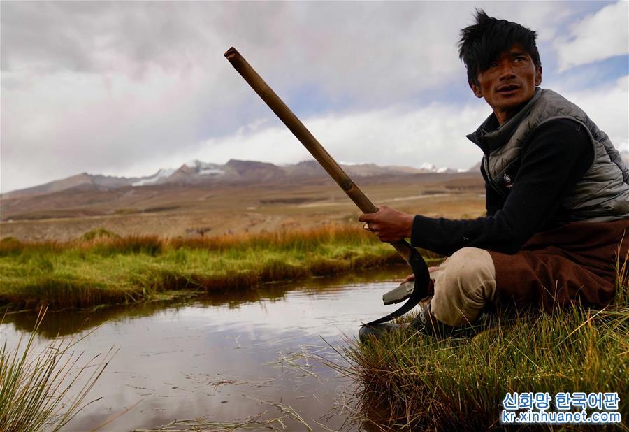 （社会）（4）藏北牧民割草忙