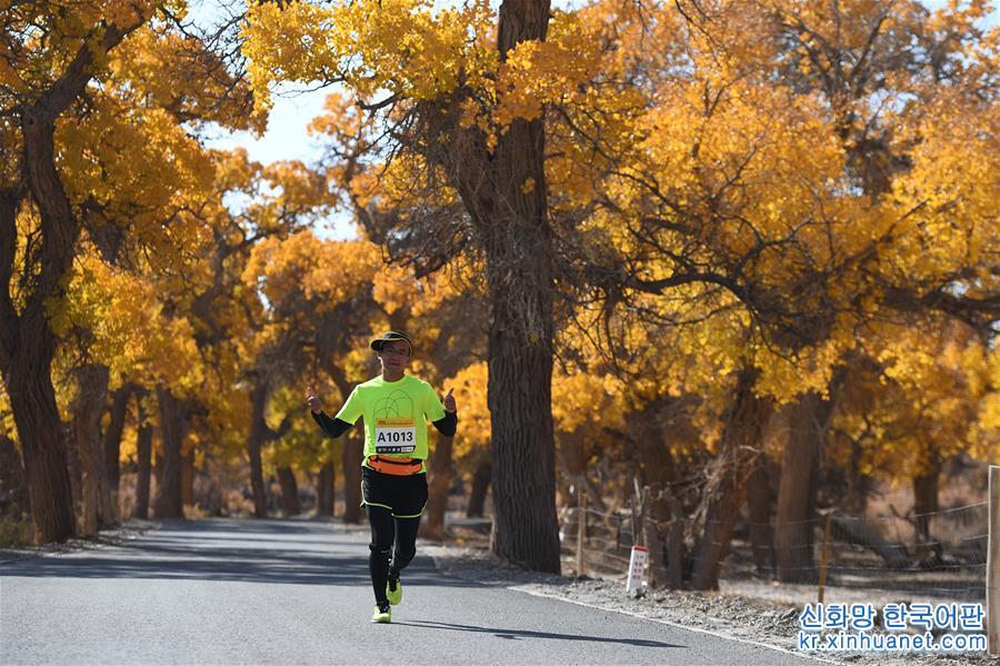 （体育）（3）马拉松——内蒙古额济纳穿越胡杨林马拉松赛开赛