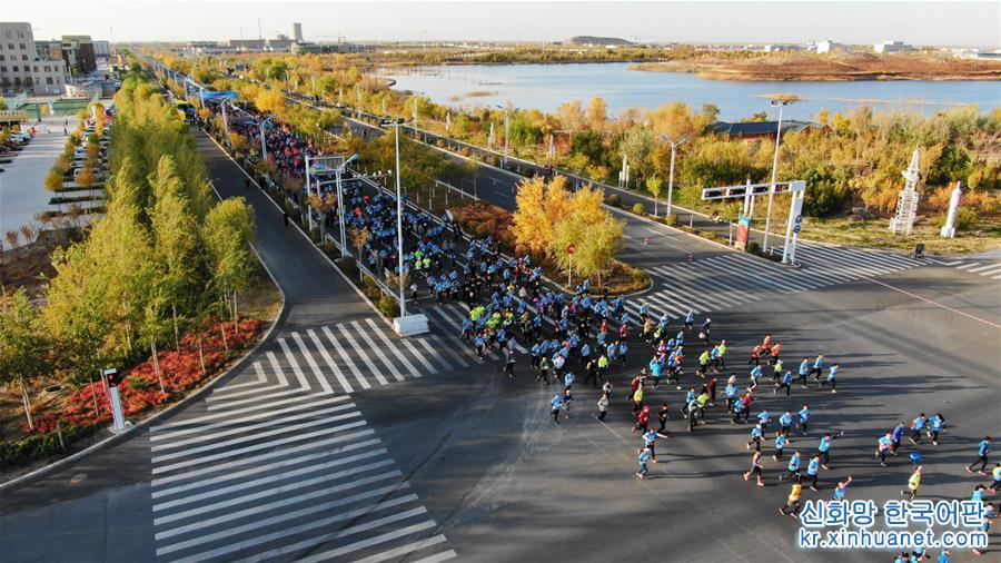 （体育）（5）马拉松——内蒙古额济纳穿越胡杨林马拉松赛开赛