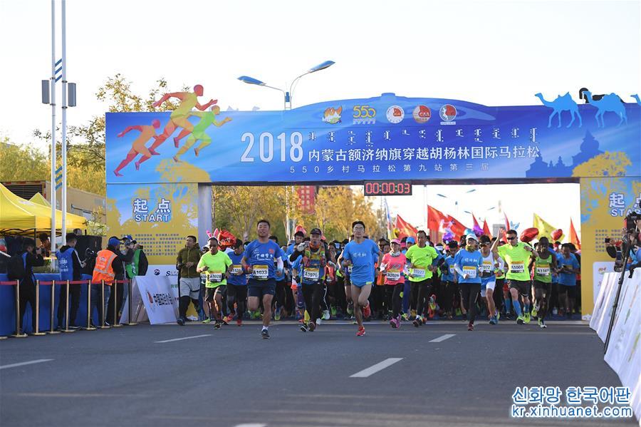 （体育）（6）马拉松——内蒙古额济纳穿越胡杨林马拉松赛开赛