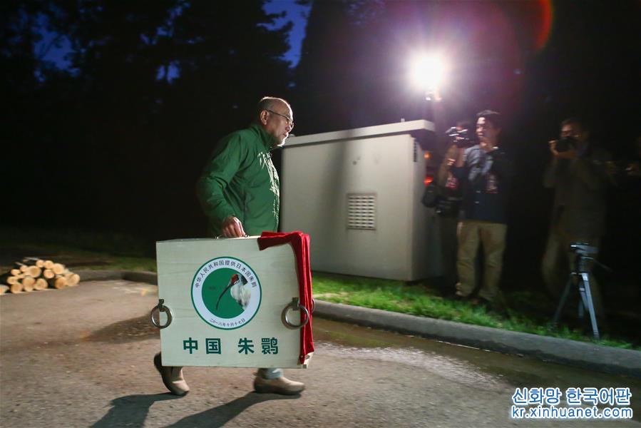 （国际）（3）中国提供的一对朱鹮抵达日本佐渡朱鹮保护中心