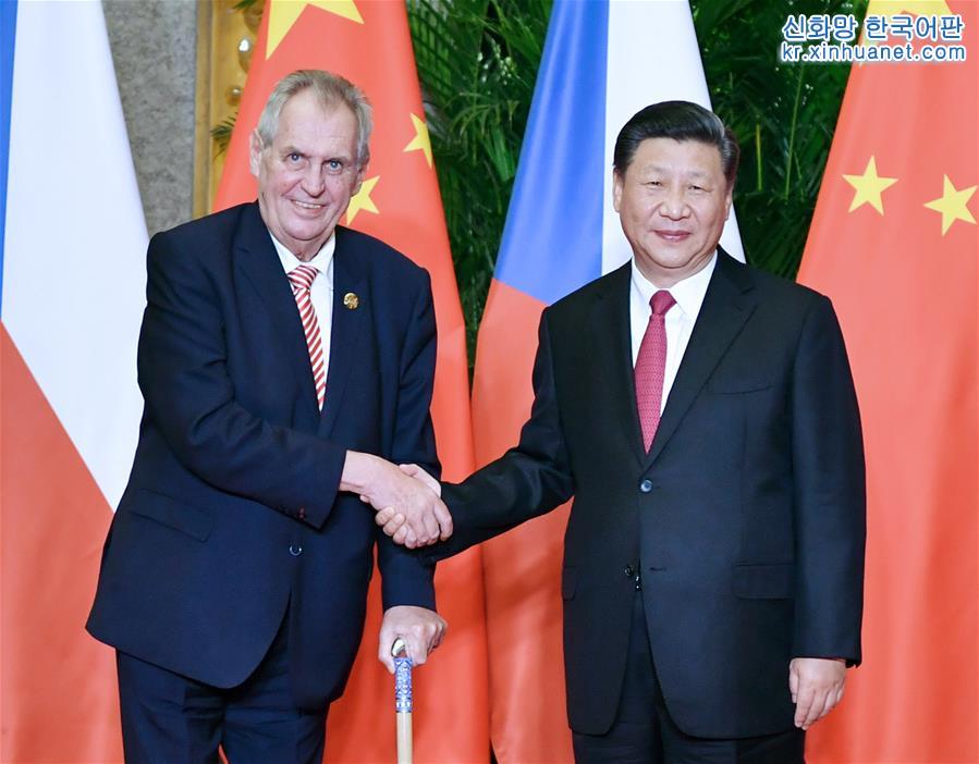 （聚焦进口博览会）习近平会见捷克总统泽曼