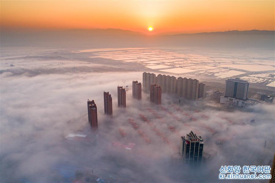 #（环境）（1）山西运城出现平流雾景观
