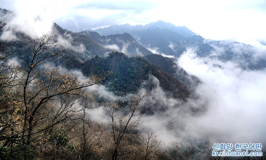 （美丽中国）（2）陕南鬼谷岭：秦岭深处的“云雾仙境”