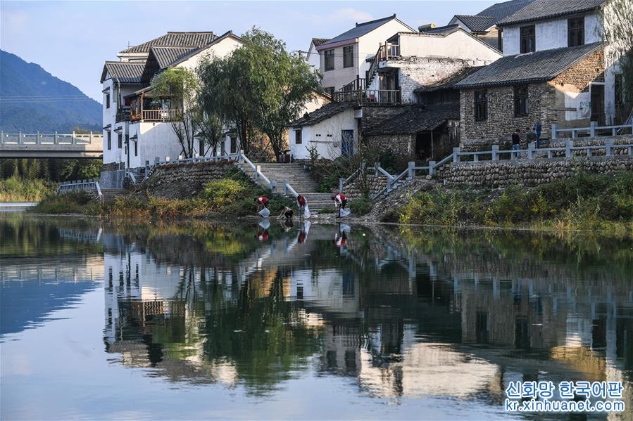 （社会）（1）杭州临安：基层党员守护美丽乡村“美丽河道”