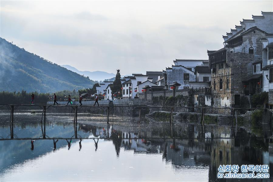 （社会）（4）杭州临安：基层党员守护美丽乡村“美丽河道”