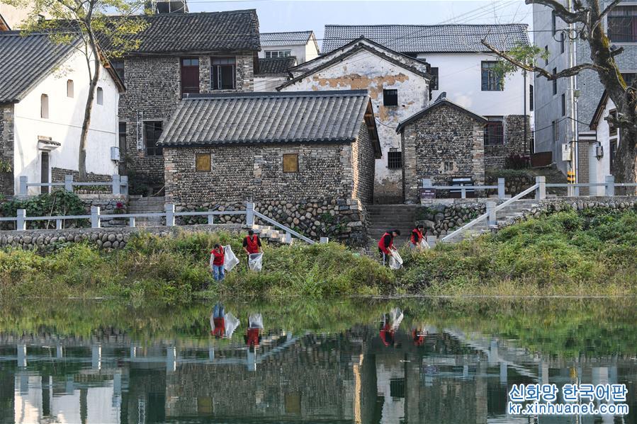 （社会）（3）杭州临安：基层党员守护美丽乡村“美丽河道”