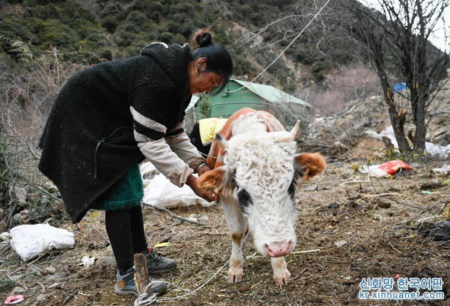 （图文互动）（4）生活物资供应充足 群众安全有保障——西藏金沙江堰塞湖安置点见闻