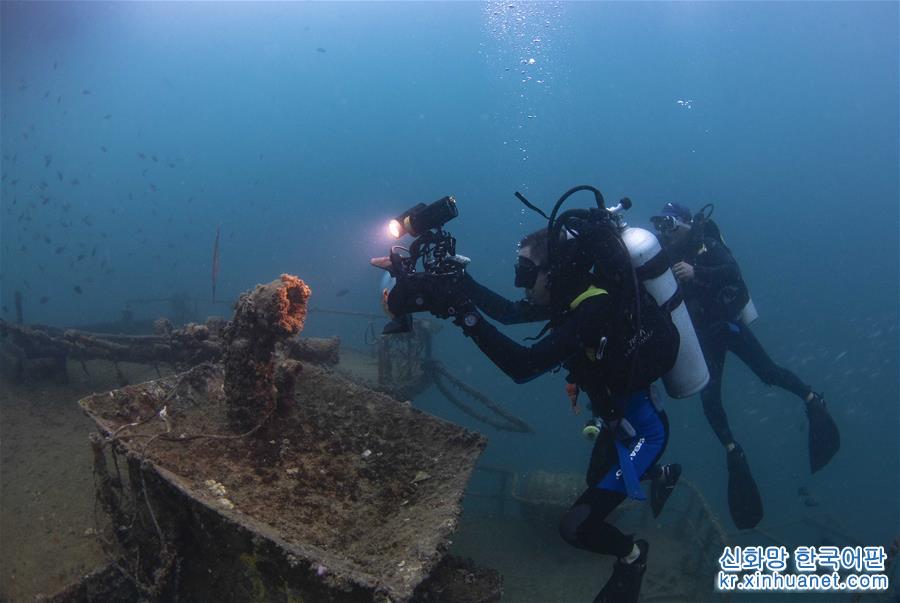 （环境）（3）潜水教练担任义务珊瑚保育员