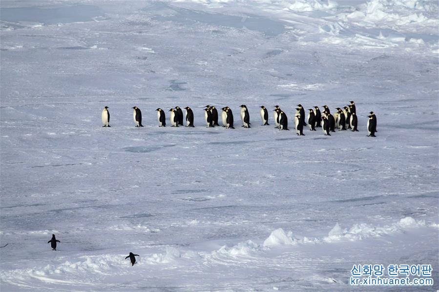 （“雪龙”探南极）（2）美丽的普里兹湾