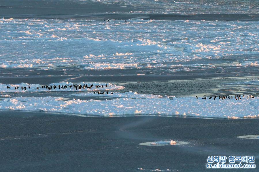 （“雪龙”探南极）（4）美丽的普里兹湾