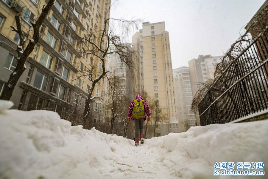 （环境）（1）乌鲁木齐迎来降雪