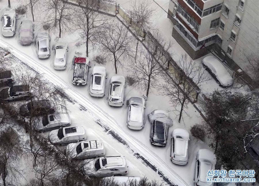 （环境）（3）乌鲁木齐迎来降雪