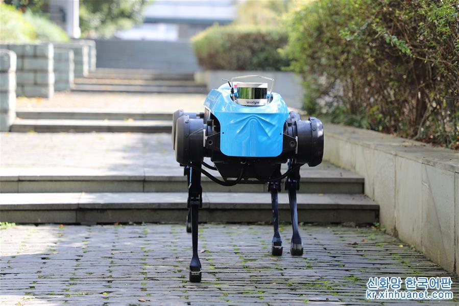 （图文互动）（1）新一代“绝影”四足机器人发布 具备跑步及上下台阶能力