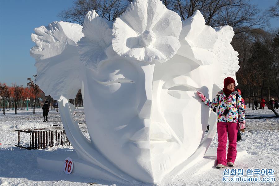 （文化）（1）第二十五届全国雪雕比赛在哈尔滨落幕