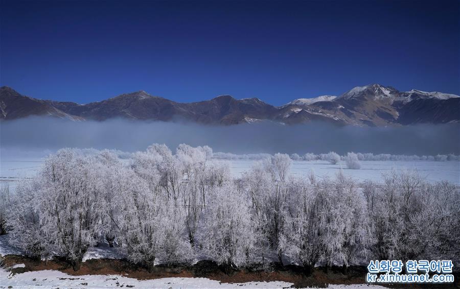 （美丽中国）（2）西藏：雅江现雾凇奇观