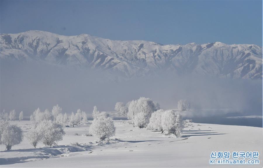 （美丽中国）（3）西藏：雅江现雾凇奇观