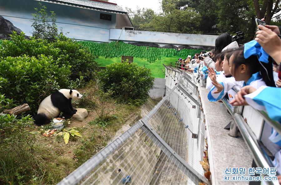 #（社会）（2）广西柳州动物园为大熊猫“明浜”举办生日会