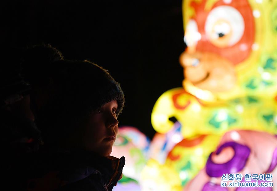 （国际）（3）中国彩灯点亮科隆冬夜