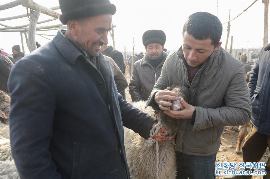 （社会）（2）新疆喀什：冬日火热的“牛羊巴扎”