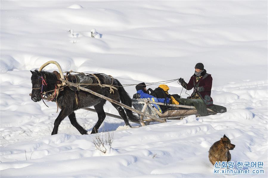 （图片故事）（2）“马的士”驰骋在新疆雪乡