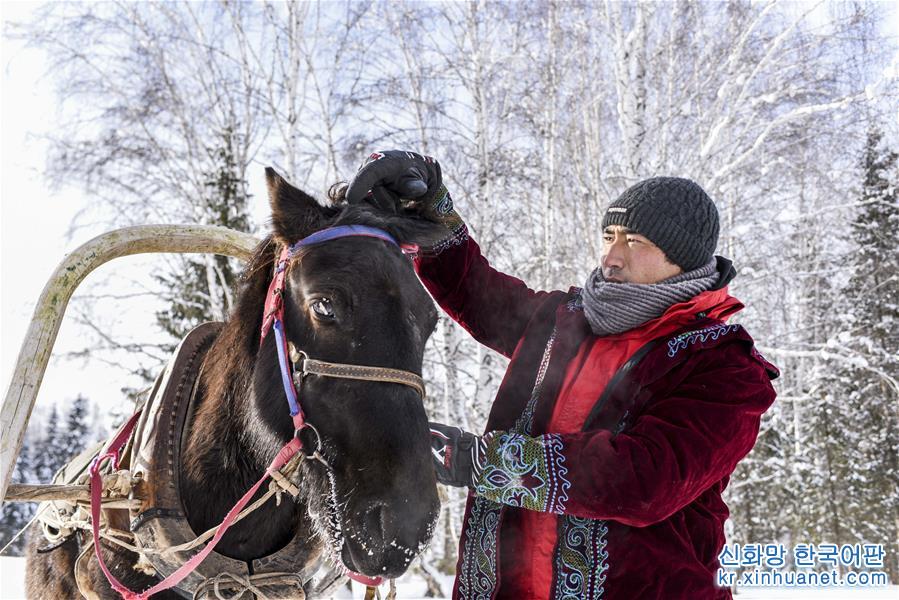 （图片故事）（1）“马的士”驰骋在新疆雪乡