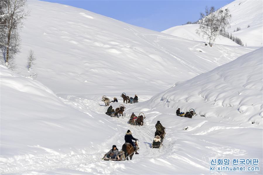 （图片故事）（4）“马的士”驰骋在新疆雪乡