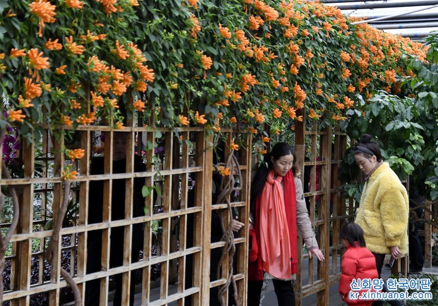 （社会）（1）北京：赏花卉 过春节