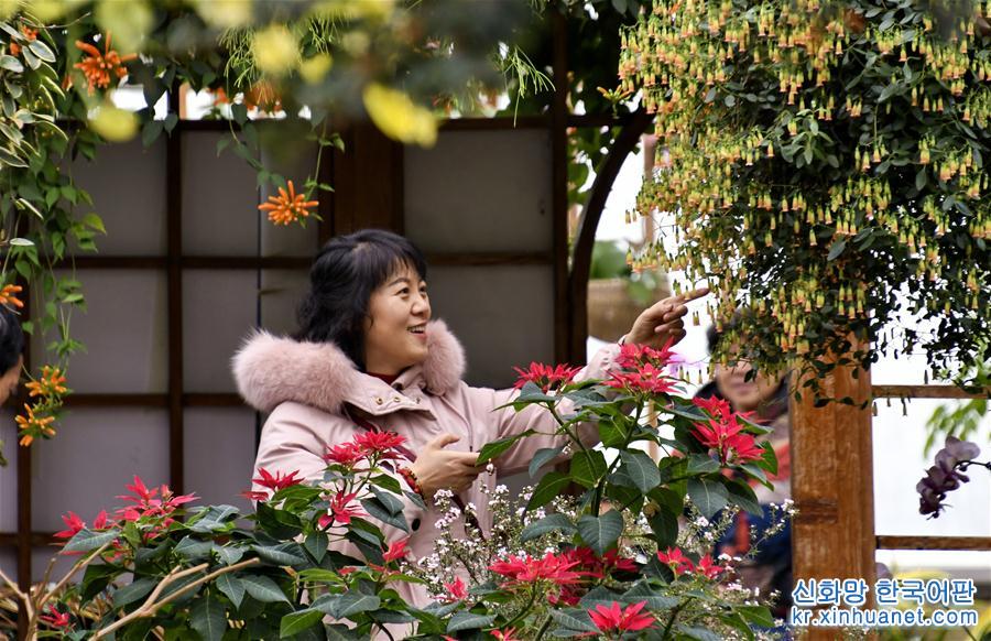 （社会）（3）北京：赏花卉 过春节