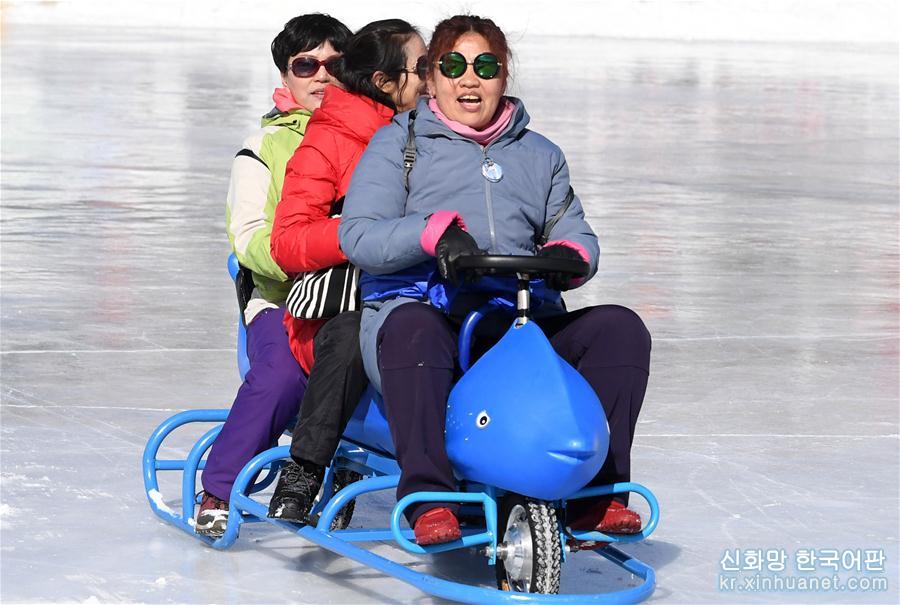 （新华视界）（2）新疆天池：冬季旅游持续增温