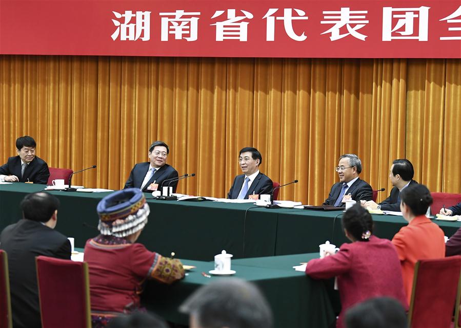 （两会）王沪宁参加湖南代表团审议