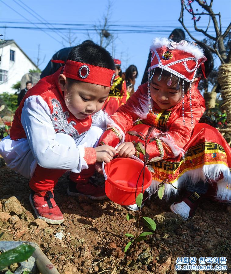 （社会）（3）多民族儿童共迎植树节