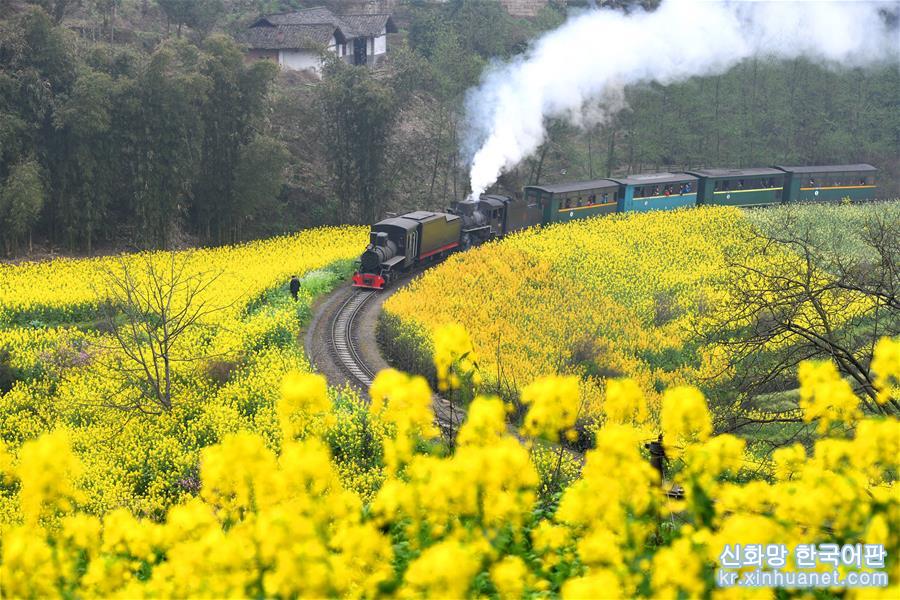 （春季美丽生态）（1）四川犍为：“开往春天”的小火车