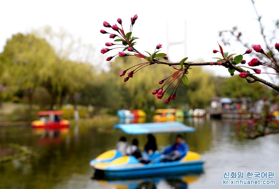 （春季美丽生态）（6）上海：千花百卉争明媚