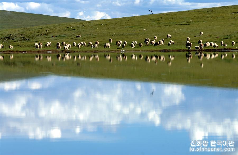 （西藏民主改革60周年）（6）今日西藏：保護生態環境 建設美麗西藏
