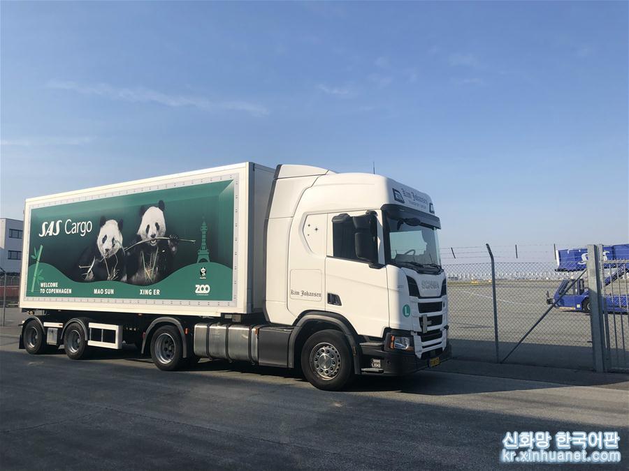 （国际）（1）中国大熊猫“星二”和“毛二”抵达丹麦