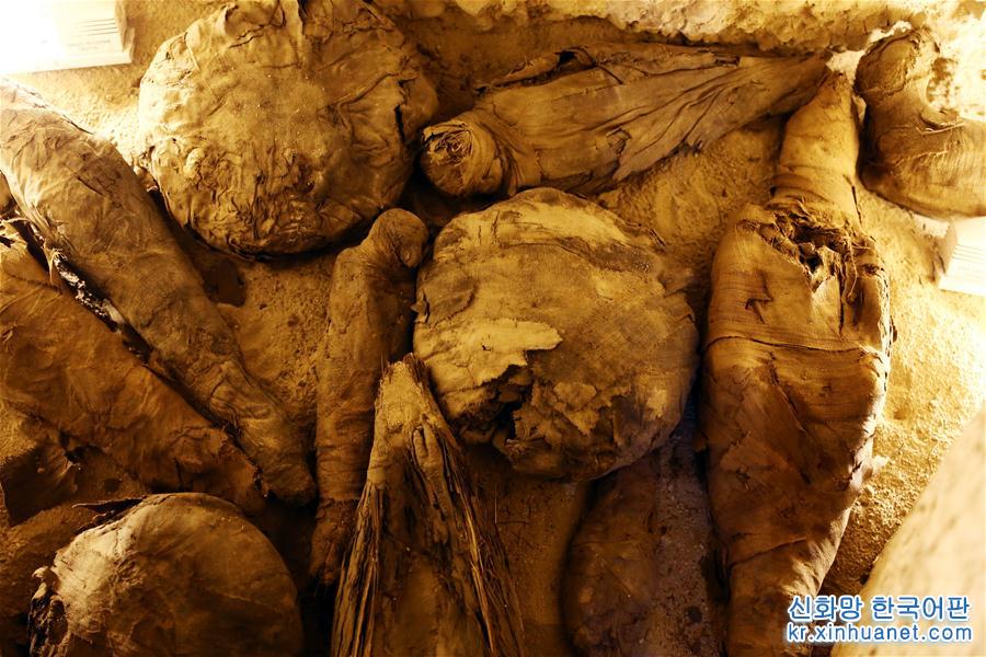 （国际）（6）埃及索哈杰发现托勒密时期墓葬