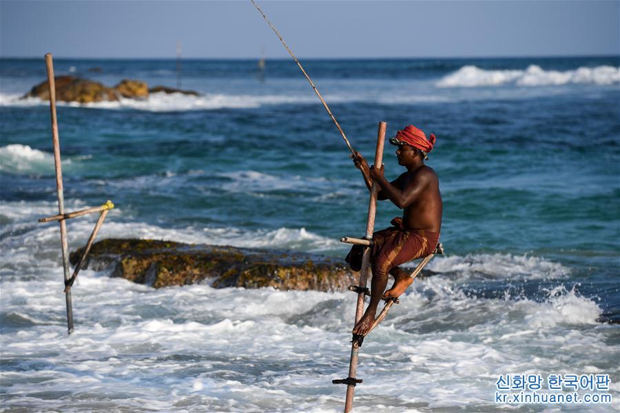 （新华视界）（1）斯里兰卡：高跷海钓人