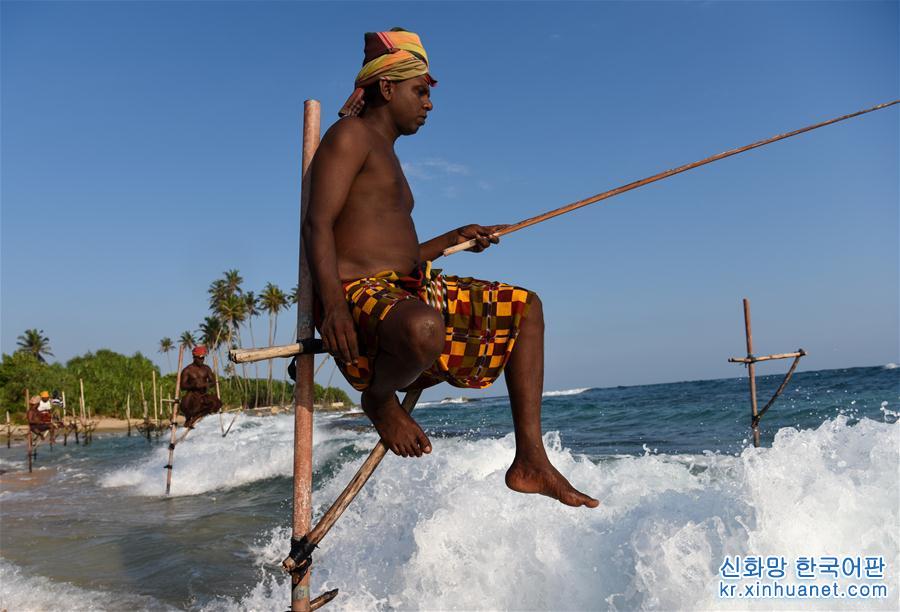 （新华视界）（2）斯里兰卡：高跷海钓人