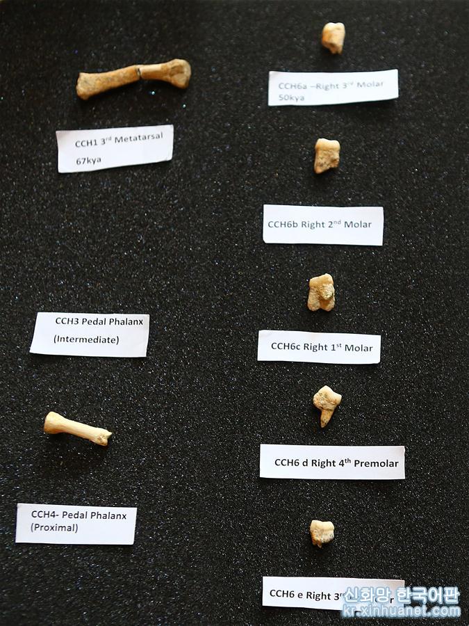 （国际·图文互动）（3）国际科研团队在菲律宾发现新的古人类物种